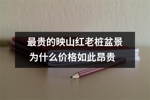 最贵的映山红老桩盆景 为什么价格如此昂贵