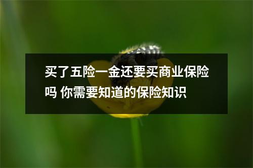 买了五险一金还要买商业保险吗 你需要知道的保险知识