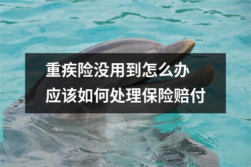 重疾险没用到怎么办 应该如何处理保险赔付