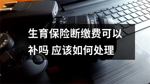 生育保险断缴费可以补吗 应该如何处理