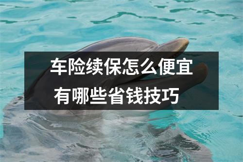 车险续保怎么便宜 有哪些省钱技巧
