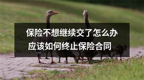 保险不想继续交了怎么办 应该如何终止保险合同
