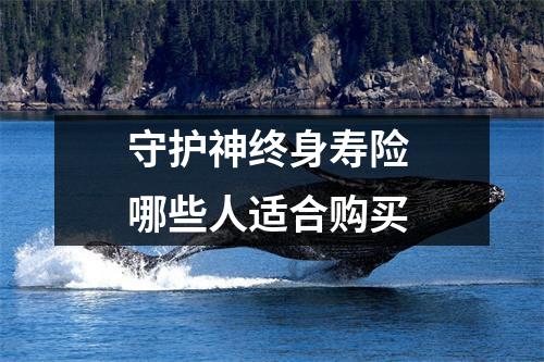 守护神终身寿险 哪些人适合购买 