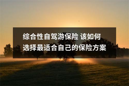 综合性自驾游保险 该如何选择最适合自己的保险方案