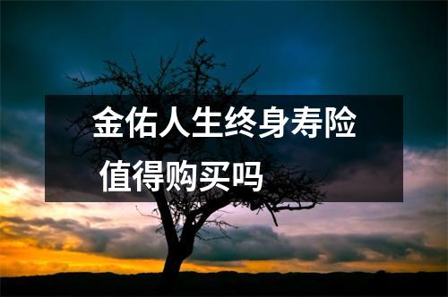 金佑人生终身寿险 值得购买吗 
