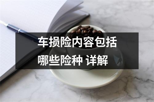 车损险内容包括哪些险种 详解