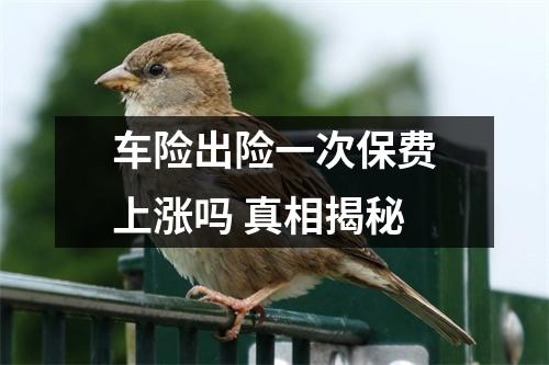 车险出险一次保费上涨吗 真相揭秘