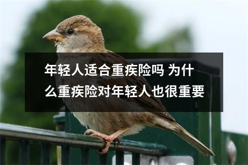 年轻人适合重疾险吗 为什么重疾险对年轻人也很重要