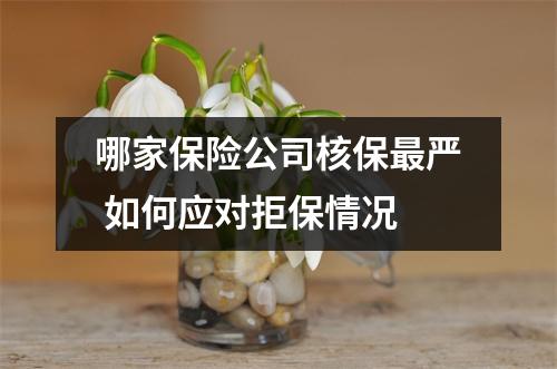 哪家保险公司核保最严 如何应对拒保情况