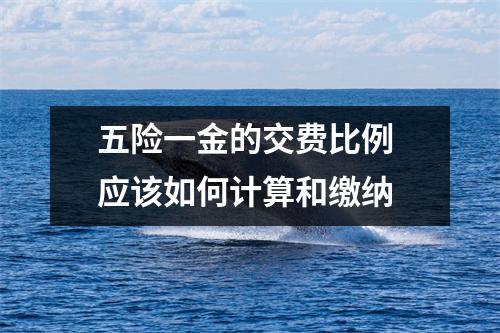 五险一金的交费比例 应该如何计算和缴纳