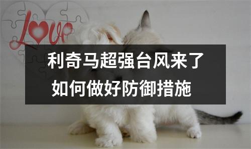 利奇马超强台风来了 如何做好防御措施