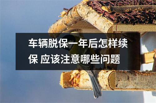 车辆脱保一年后怎样续保 应该注意哪些问题