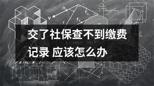 交了社保查不到缴费记录 应该怎么办