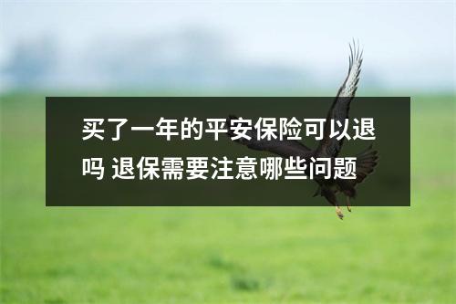 买了一年的平安保险可以退吗 退保需要注意哪些问题