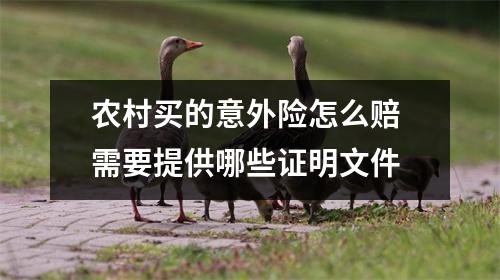 农村买的意外险怎么赔 需要提供哪些证明文件