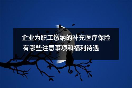 企业为职工缴纳的补充医疗保险 有哪些注意事项和福利待遇