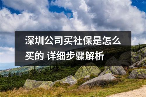 深圳公司买社保是怎么买的 详细步骤解析