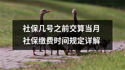 社保几号之前交算当月 社保缴费时间规定详解