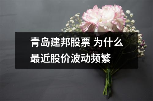 青岛建邦股票 为什么最近股价波动频繁