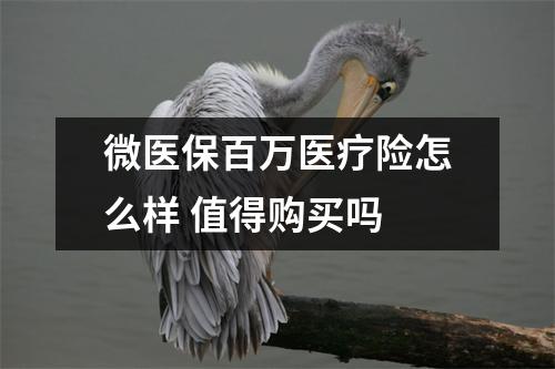 微医保百万医疗险怎么样 值得购买吗