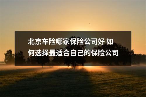 北京车险哪家保险公司好 如何选择最适合自己的保险公司