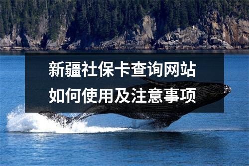 新疆社保卡查询网站 如何使用及注意事项