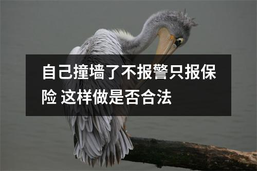 自己撞墙了不报警只报保险 这样做是否合法 