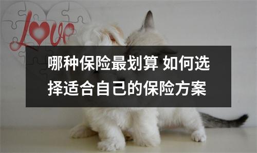 哪种保险最划算 如何选择适合自己的保险方案