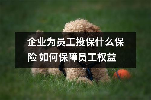 企业为员工投保什么保险 如何保障员工权益