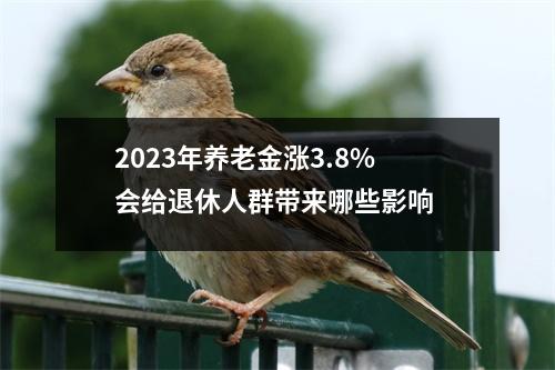 2023年养老金涨3.8% 会给退休人群带来哪些影响 
