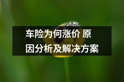车险为何涨价 原因分析及解决方案