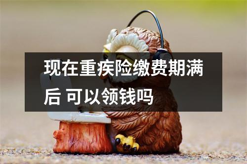 现在重疾险缴费期满后 可以领钱吗 