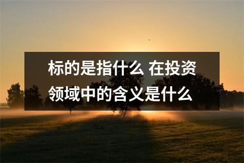 标的是指什么 在投资领域中的含义是什么