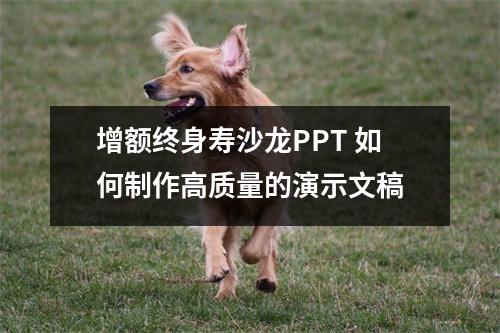 增额终身寿沙龙PPT 如何制作高质量的演示文稿