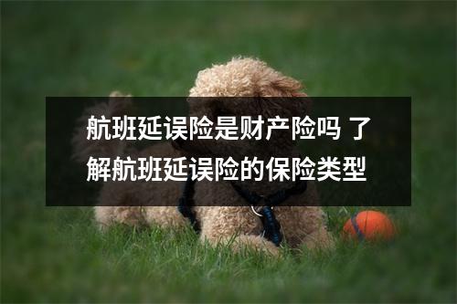 航班延误险是财产险吗 了解航班延误险的保险类型