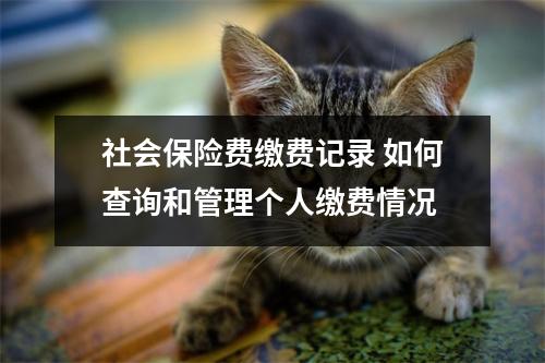 社会保险费缴费记录 如何查询和管理个人缴费情况