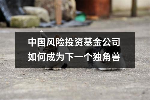 中国风险投资基金公司 如何成为下一个独角兽