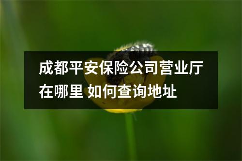 成都平安保险公司营业厅在哪里 如何查询地址
