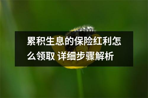 累积生息的保险红利怎么领取 详细步骤解析