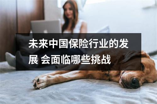 未来中国保险行业的发展 会面临哪些挑战