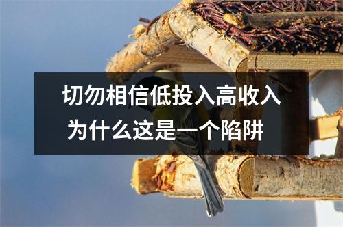 切勿相信低投入高收入 为什么这是一个陷阱