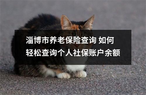 淄博市养老保险查询 如何轻松查询个人社保账户余额
