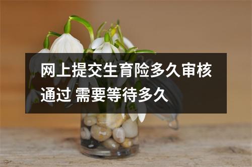 网上提交生育险多久审核通过 需要等待多久