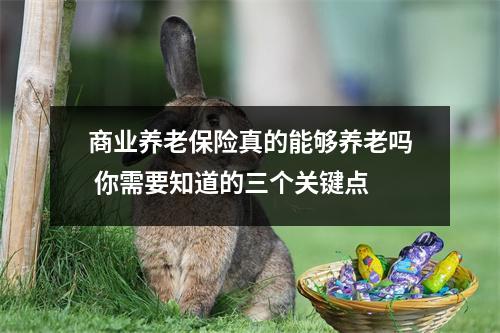 商业养老保险真的能够养老吗 你需要知道的三个关键点