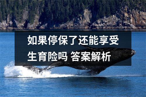 如果停保了还能享受生育险吗 答案解析