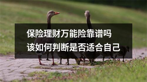 保险理财万能险靠谱吗 该如何判断是否适合自己
