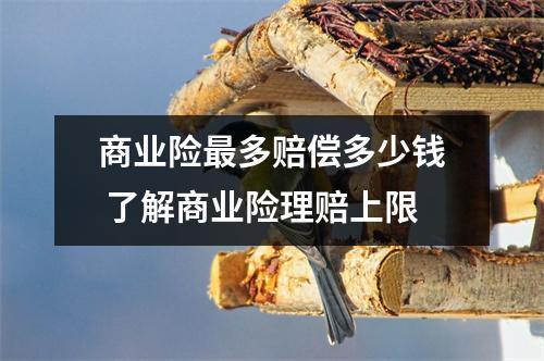 商业险最多赔偿多少钱 了解商业险理赔上限