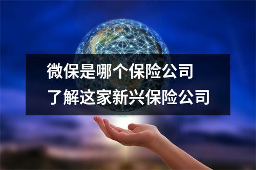 微保是哪个保险公司 了解这家新兴保险公司