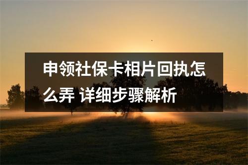 申领社保卡相片回执怎么弄 详细步骤解析