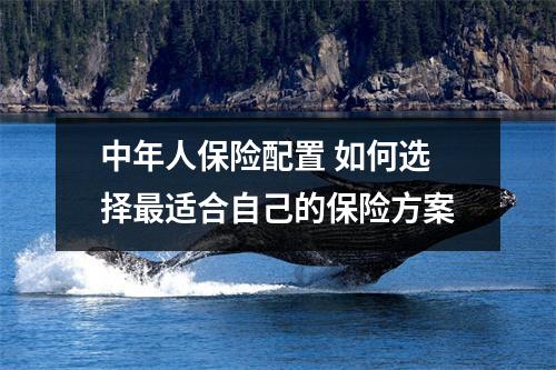中年人保险配置 如何选择最适合自己的保险方案